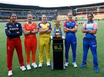 可以得出 可以得出